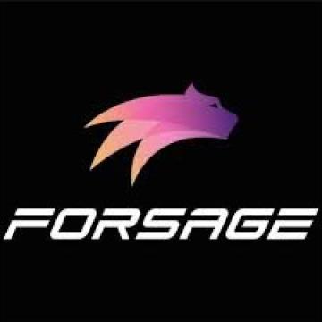 Forsage online working 1.