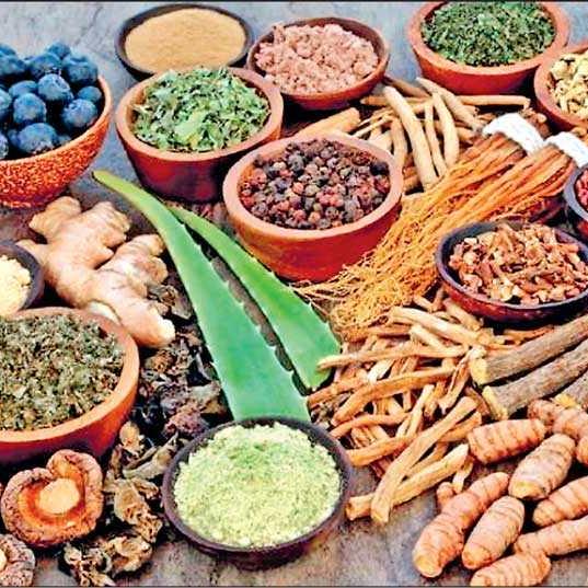 සිංහල අත් බෙහෙත්