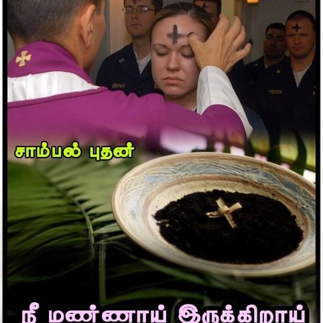 Daily Bible verses..