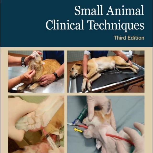 Veterinary Discussion