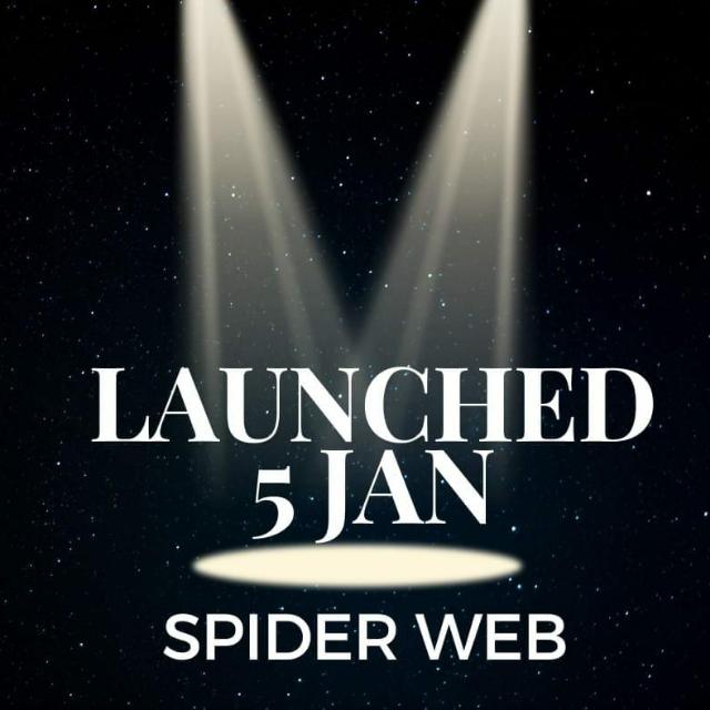 Spider web
