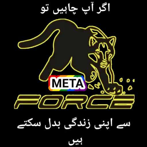 Meta force online work