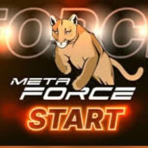 META FORCE