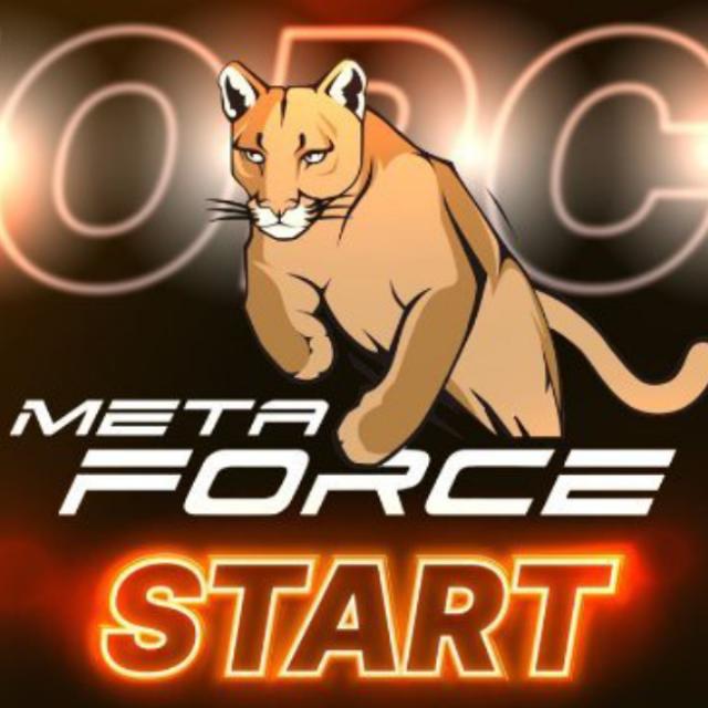 META FORCE with JUNAID 2️⃣