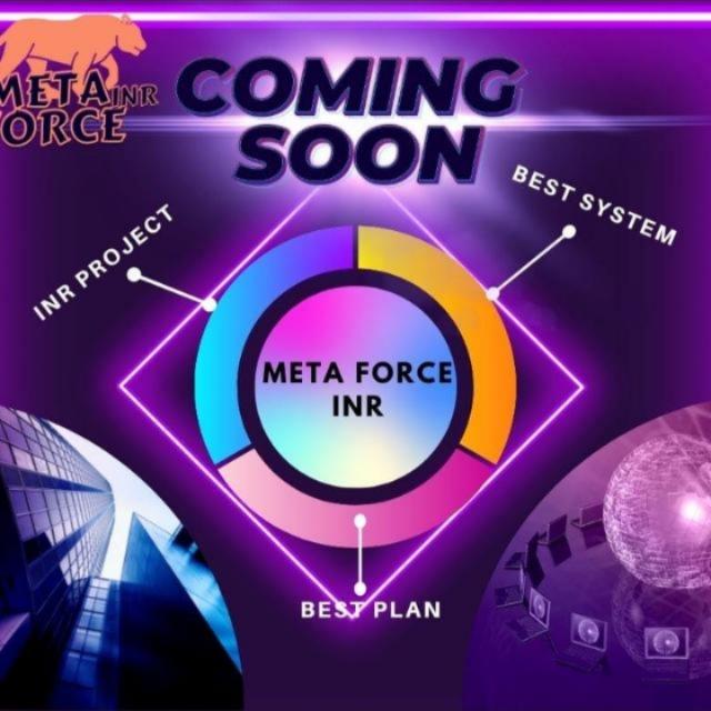 ??META FORCE INR ??