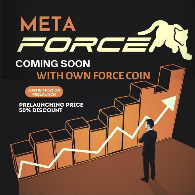 META FORCE (ONLINE WORKIN