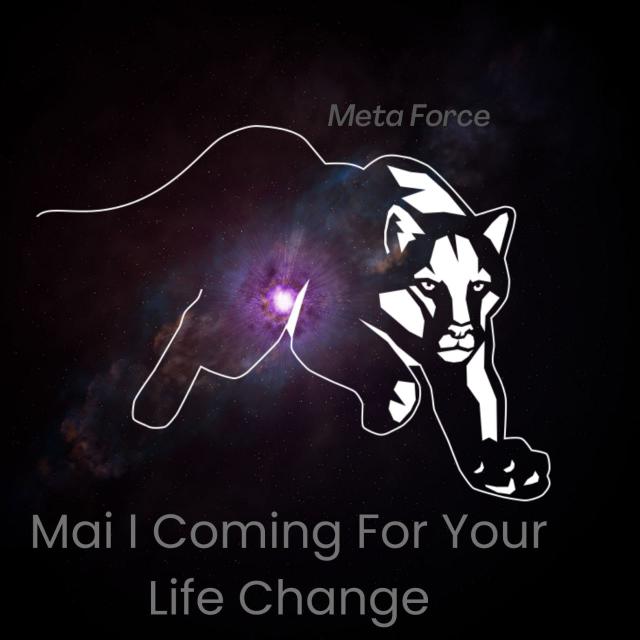 META FORCE BLOCK CHAIN