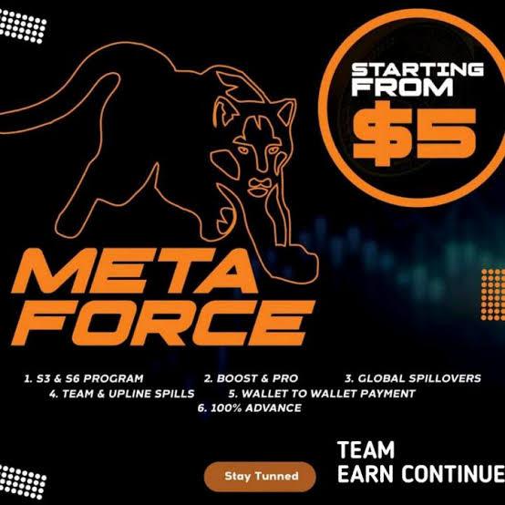 META FORCE ONLINE EARNIN
