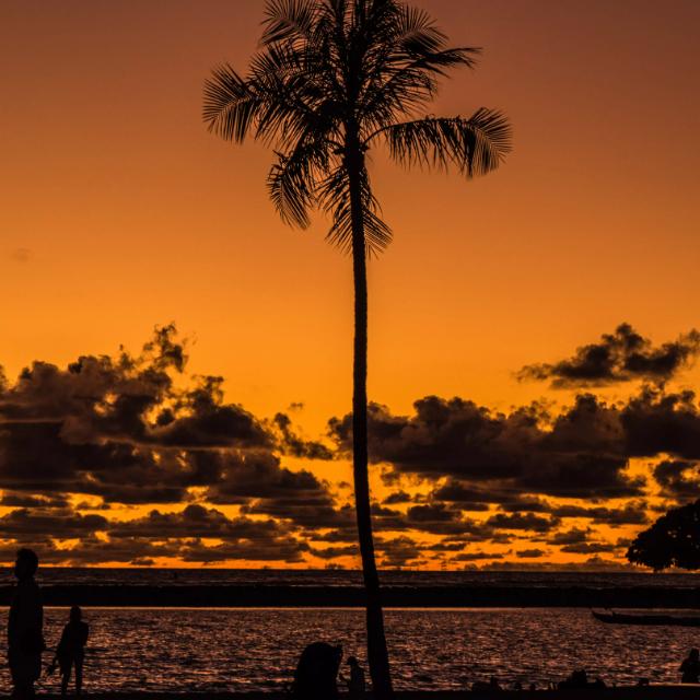 ?....ഫൺ ഹൌസ്.... ?