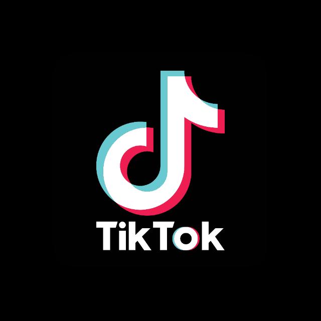 Tiktok Masti 🚫