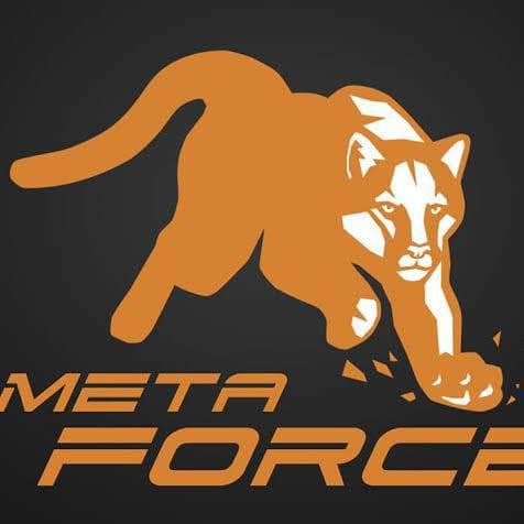 Bᵘᵏʰᵃʳ! META FORCE  ( Team 5 )