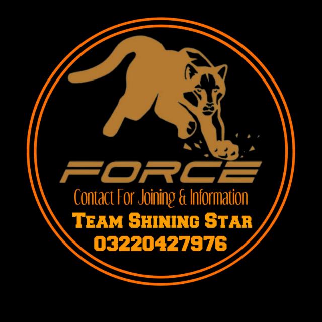 Real Earning Platform?