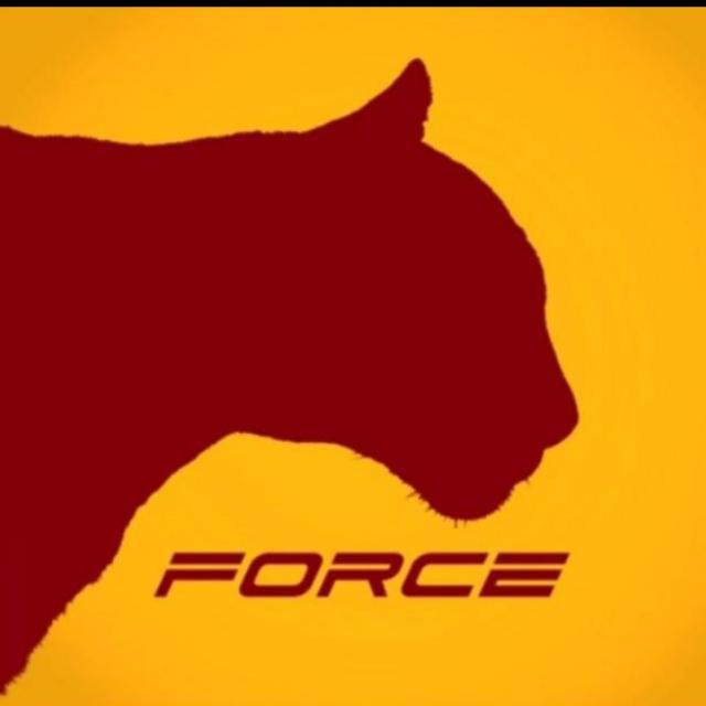 Meta Force ( Royal Group)