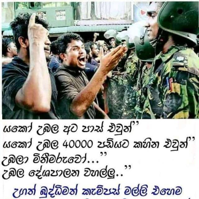 තනිකඩ මම