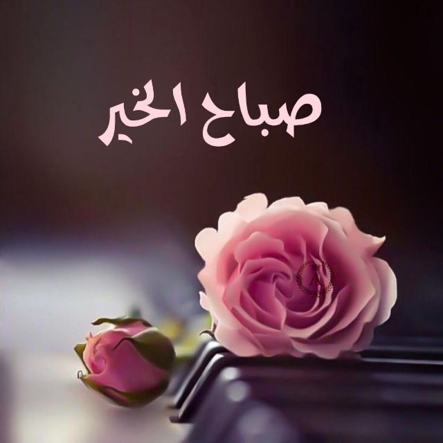 صباح الخير 💋💋