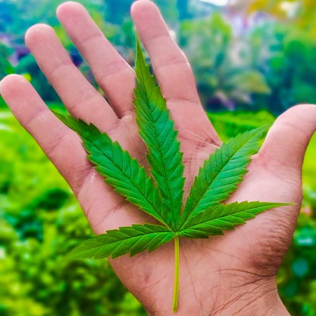 තෛලෝක විජය පත්‍ර