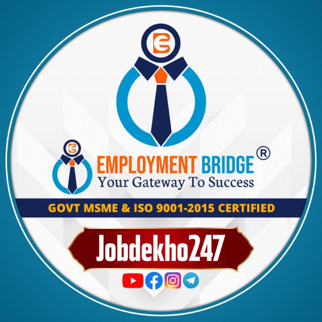 Employment Bridge1 💥