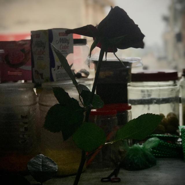 शेरो शायरी