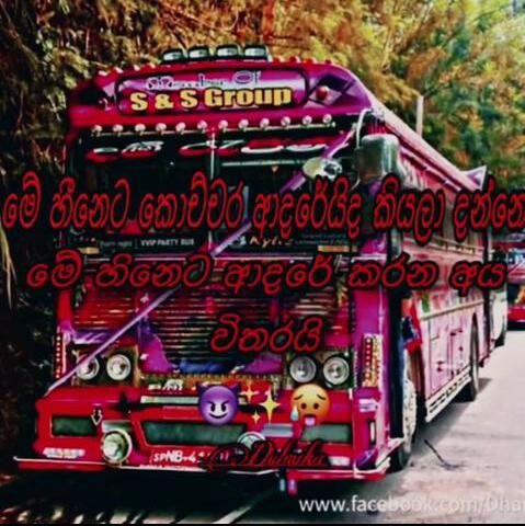 ❤️BUS LOVER …FRENDS❤‍🔥