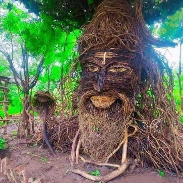 ?? काला नाग कोबरा सट्टा ??