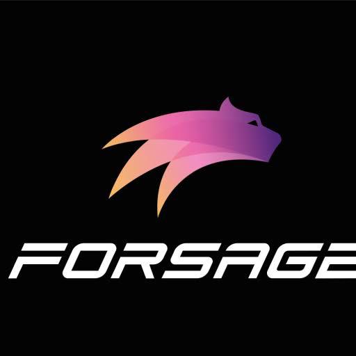 Forsage best Earnings 