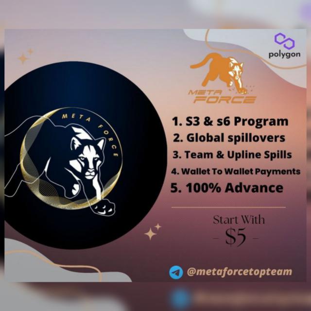 Meta Force With Sameer 2