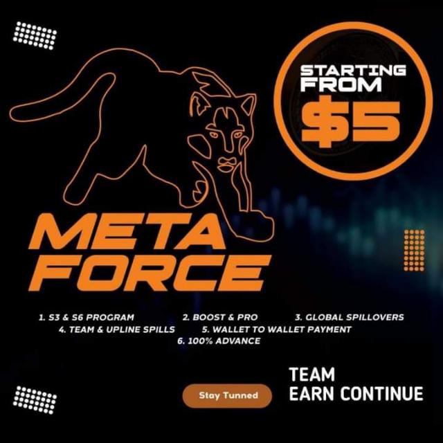 Metaforce🐅Platform👑