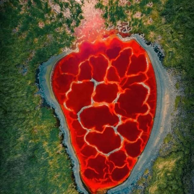 THE REAL BROTHERS ?✅