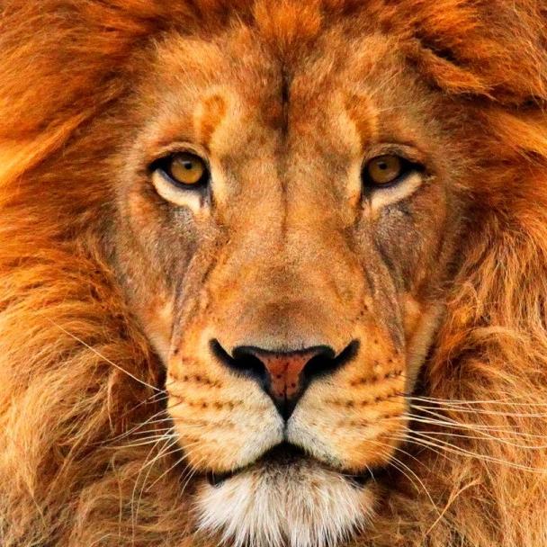 ? ताजा खबर ?