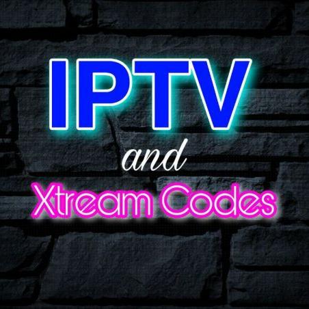 Media Service Provider