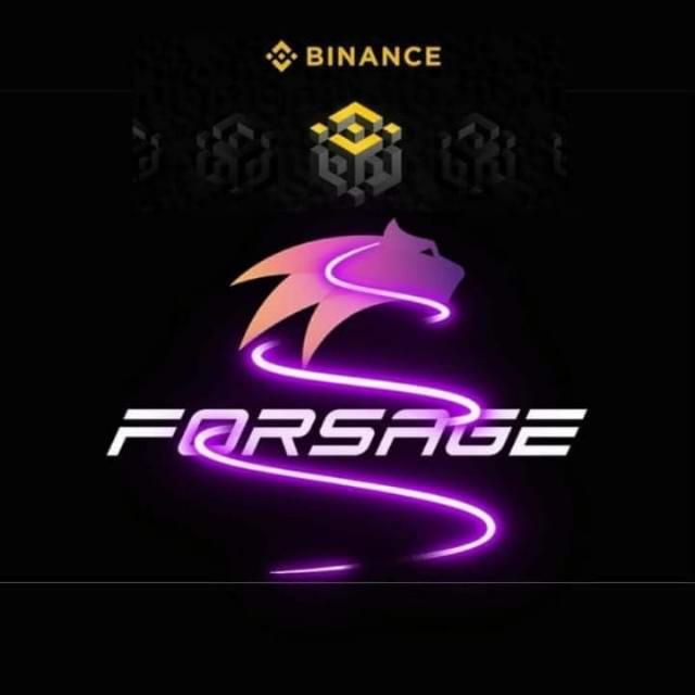 FORSAGE- team