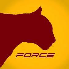 Meta Force(Online Earning