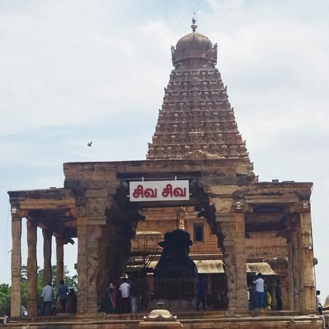 Kumbakonam dog sell