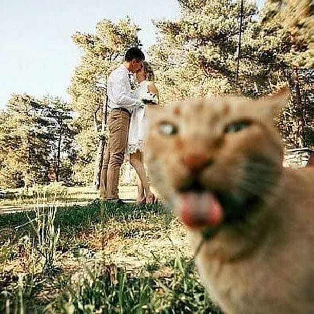 FRIENDS 😂😼💗