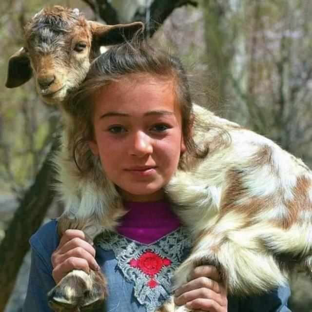 GUJJAR BAKERWAL OFFICIAL GROUP