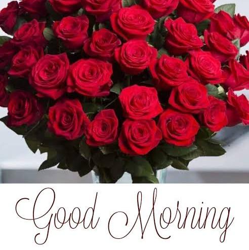 Top Leader New lounching