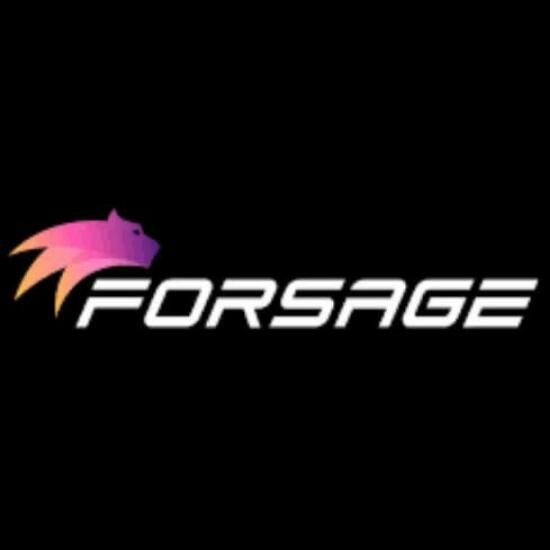 forsage BUSD earning🔥