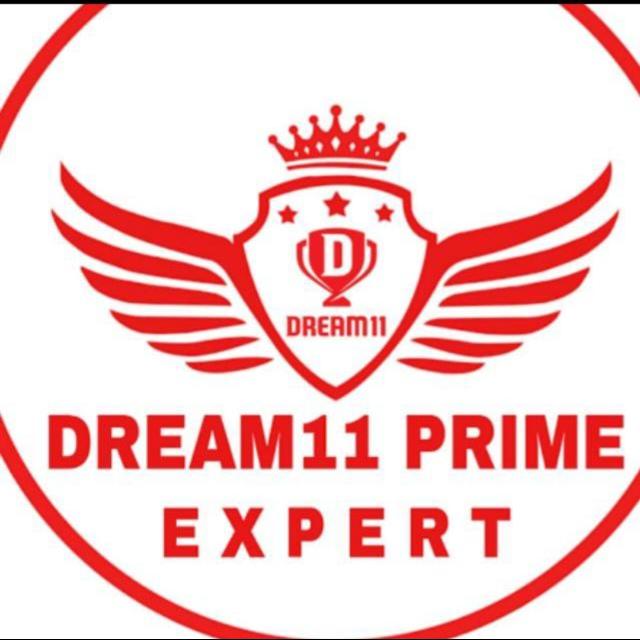 DREEM11 TEAM