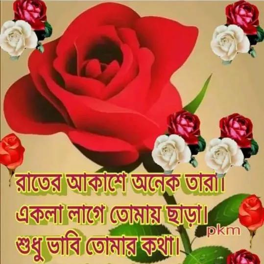 মনের মাঝে তুমি 