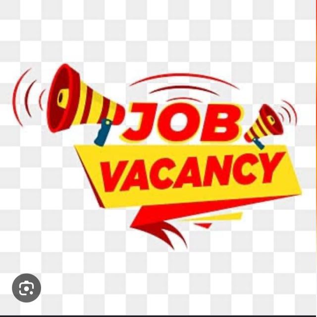 All Types Of Jobs Vacancy