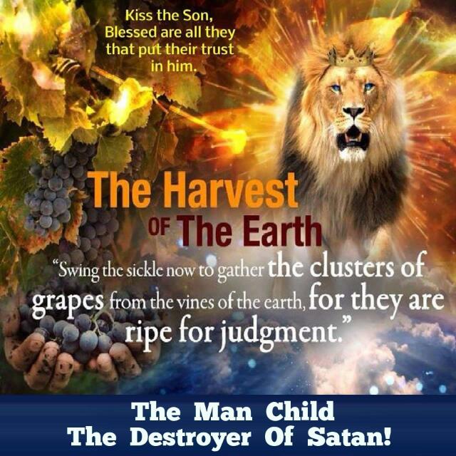 ? THE KING IS COMING!!