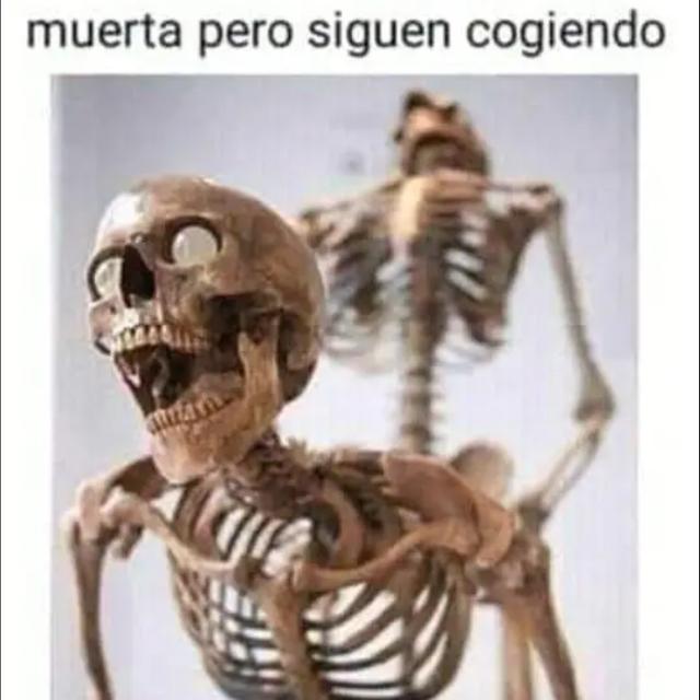 Hkup+237?? above 25 ye?❌