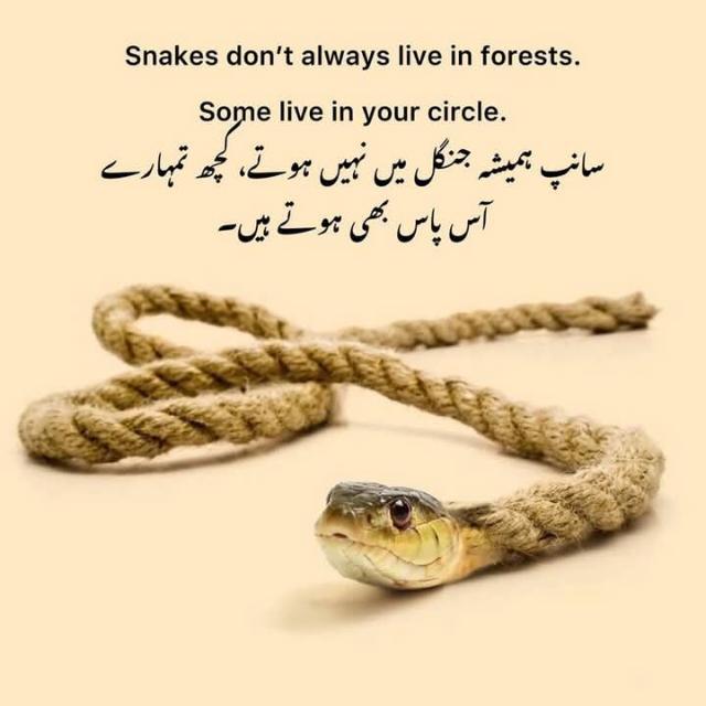 Zinda hoo Kahan say ho