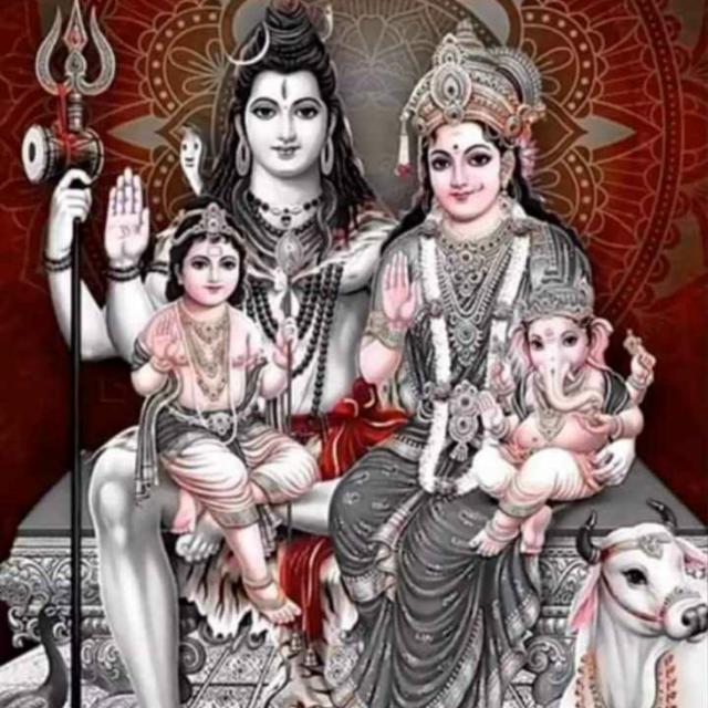 Kashi property group