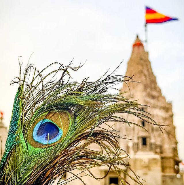 ༒Dhavarkadhis Ki Duniya ༒