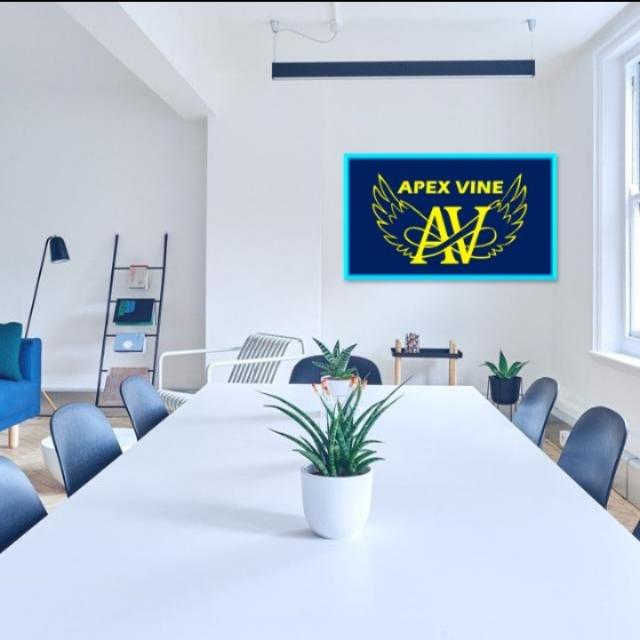 ?APEXVINE GROUP