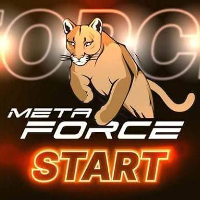 Networking with MetaForce