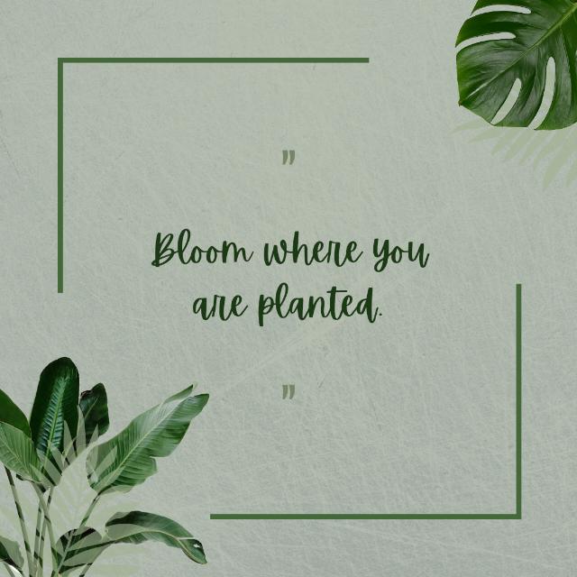 ♛꧁??༒help ?༒??꧂⁣