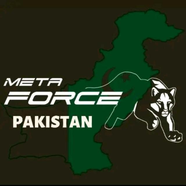 META FORCE (master mind) 