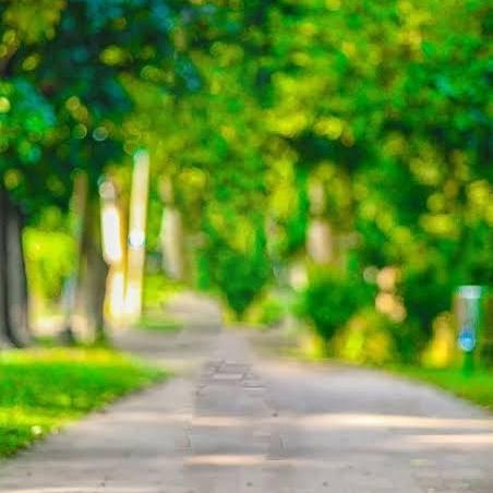 Online money erning group